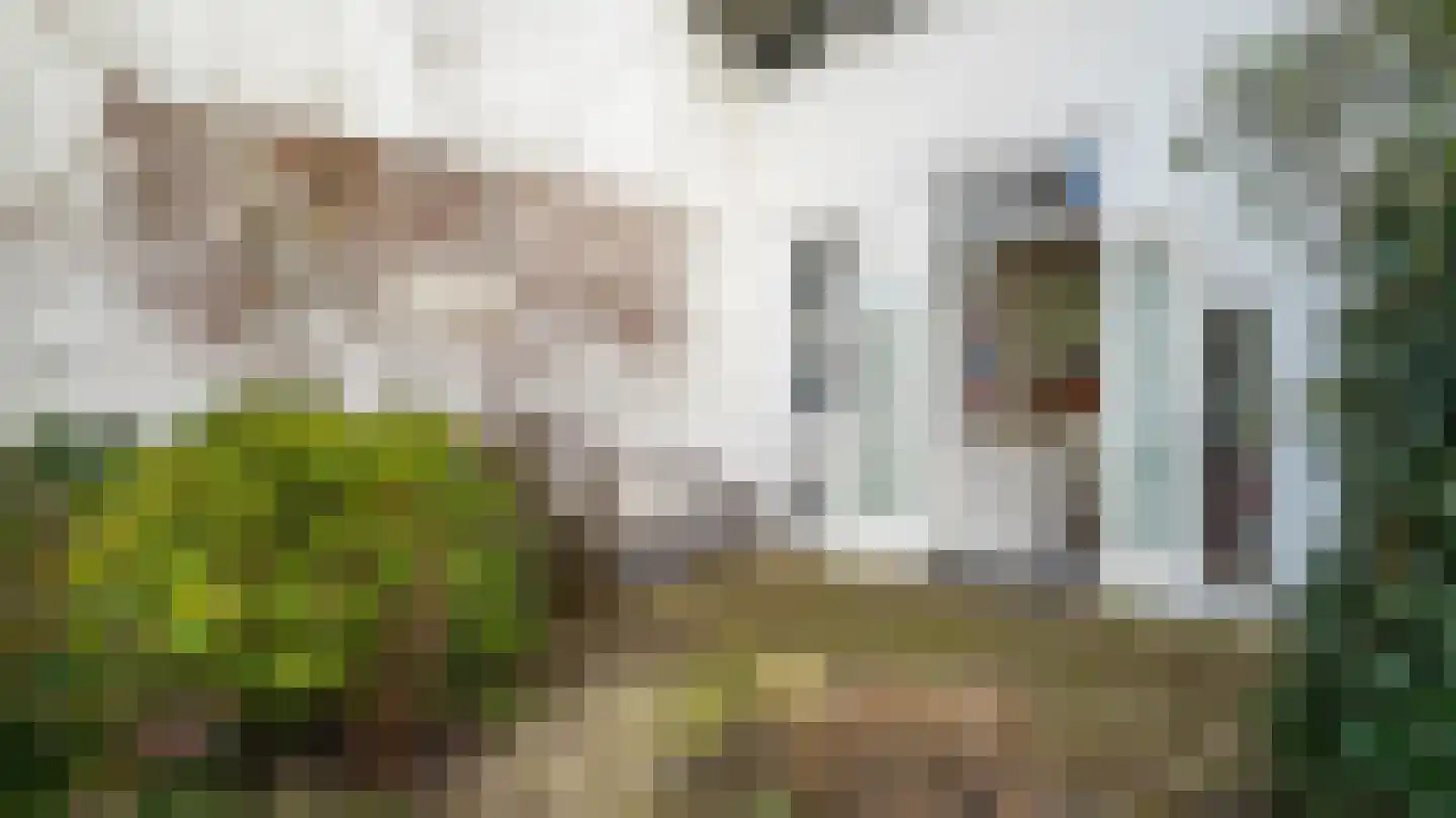 Molenstraat 8 Almelo thumbnail 31