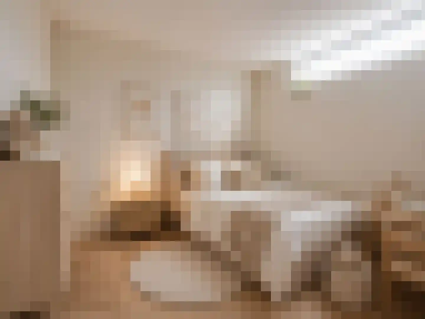 Molenstraat 8 Amerongen thumbnail 7