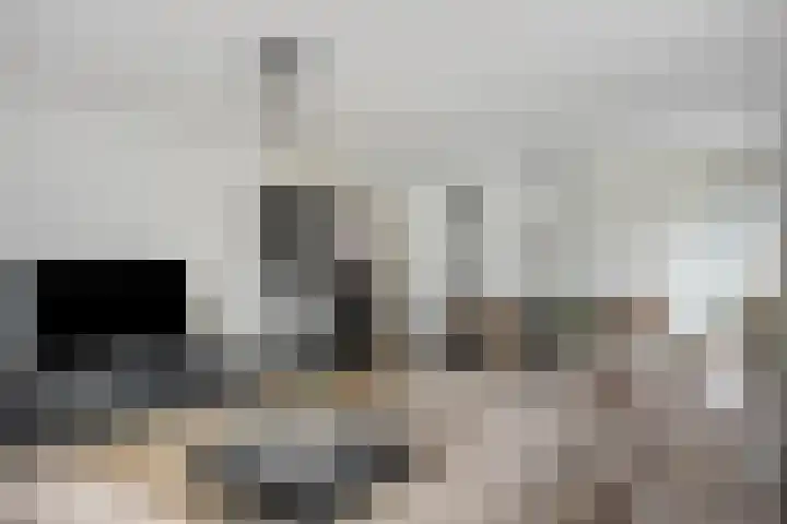 Molenstraat 8 Goor thumbnail 13