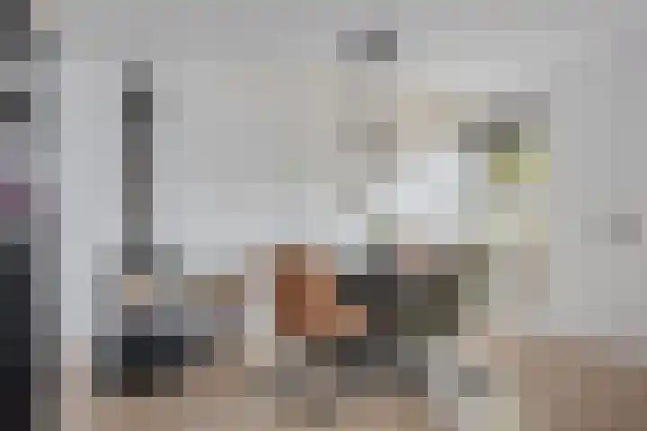 Molenstraat 8 Goor thumbnail 14