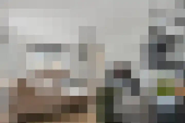 Molenstraat 8 Goor thumbnail 15