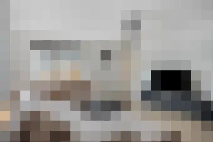 Molenstraat 8 Goor thumbnail 16