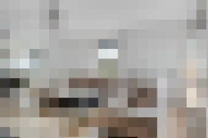 Molenstraat 8 Goor thumbnail 20