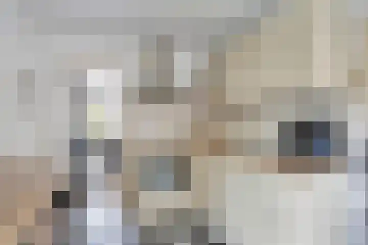 Molenstraat 8 Goor thumbnail 21