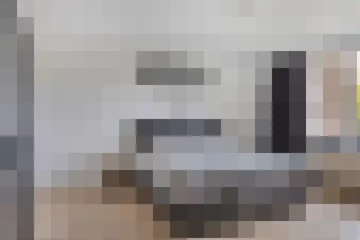 Molenstraat 8 Goor thumbnail 23