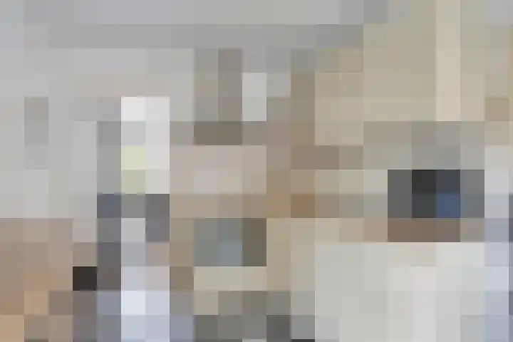 Molenstraat 8 Goor thumbnail 4