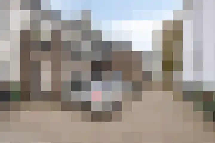 Molenstraat 8 Goor thumbnail 6