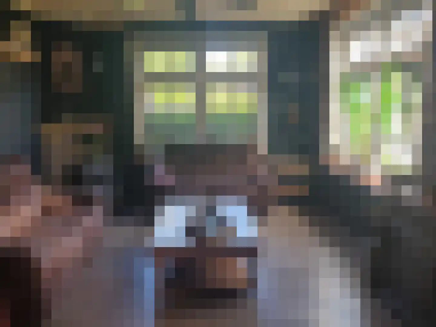 Molenstraat 8 Haaften thumbnail 10