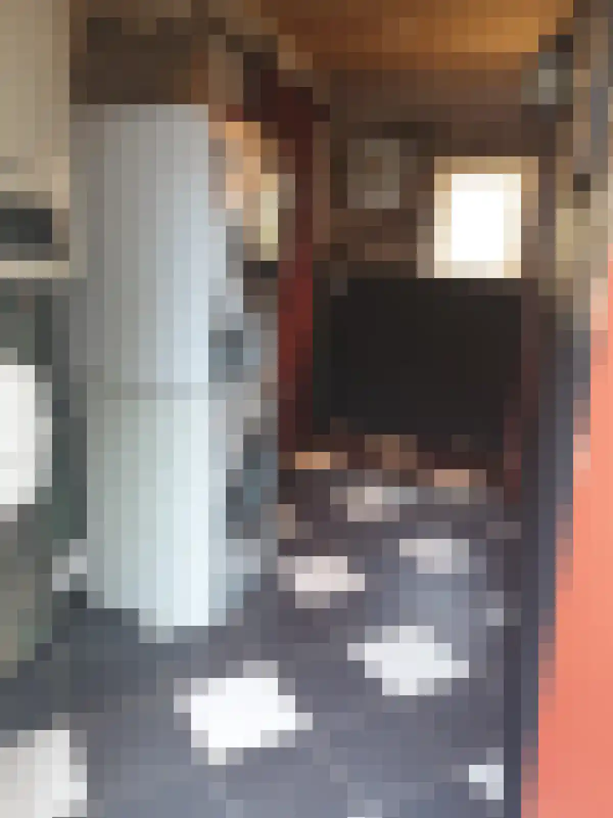 Molenstraat 8 Haaften thumbnail 12