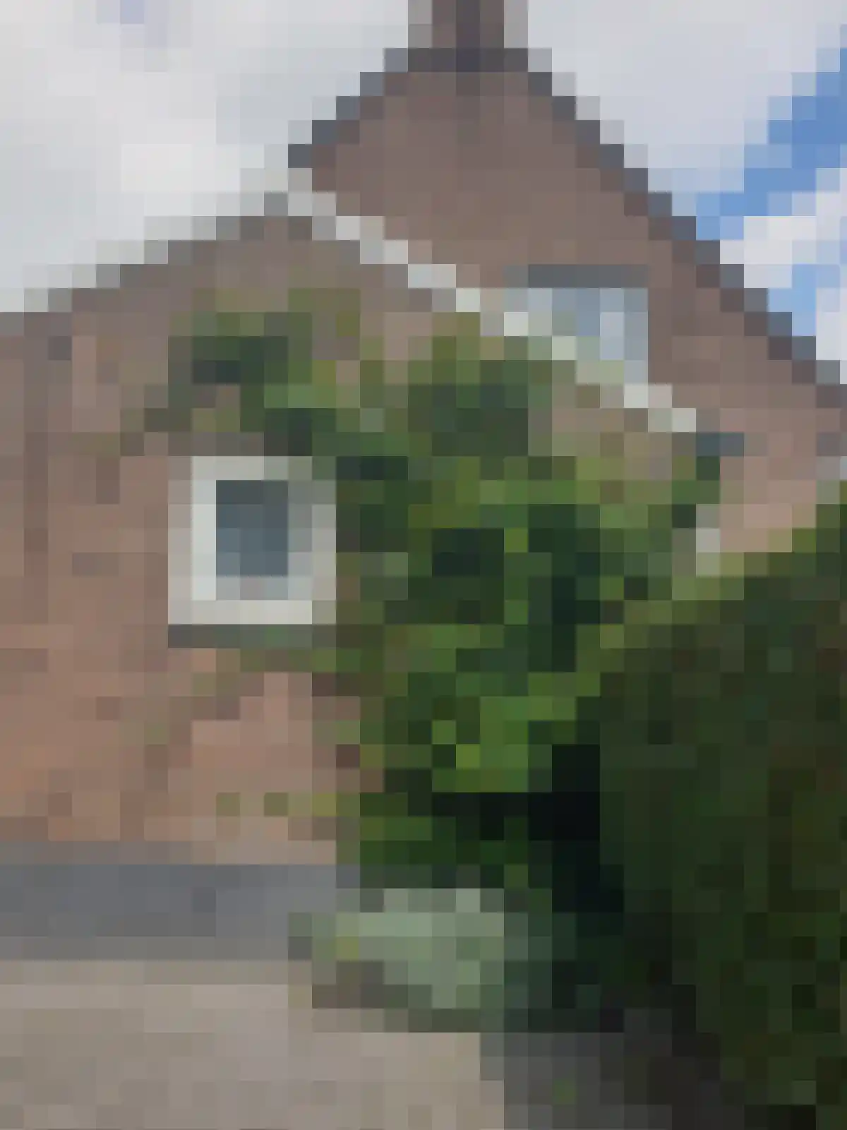 Molenstraat 8 Haaften thumbnail 25