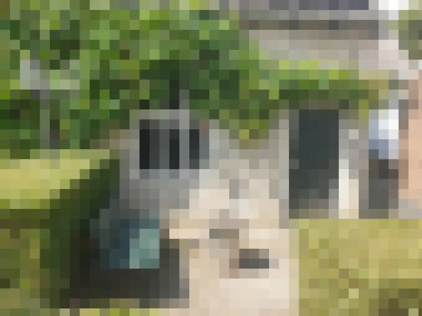 Molenstraat 8 Haaften thumbnail 26