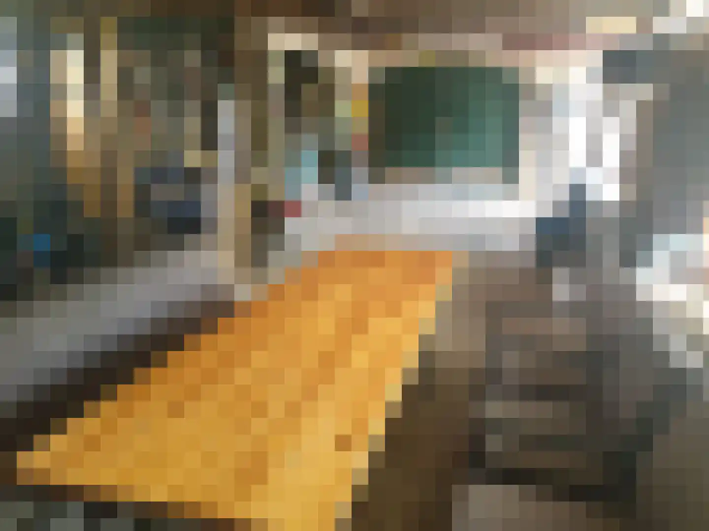 Molenstraat 8 Haaften thumbnail 29