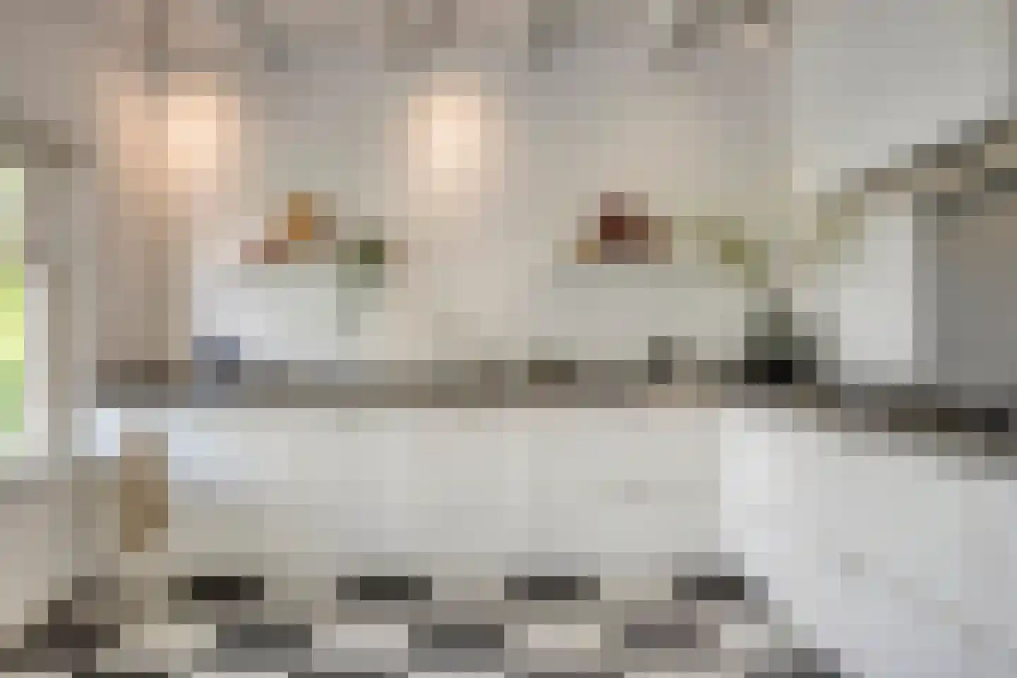 Molenstraat 8 Kinderdijk thumbnail 17