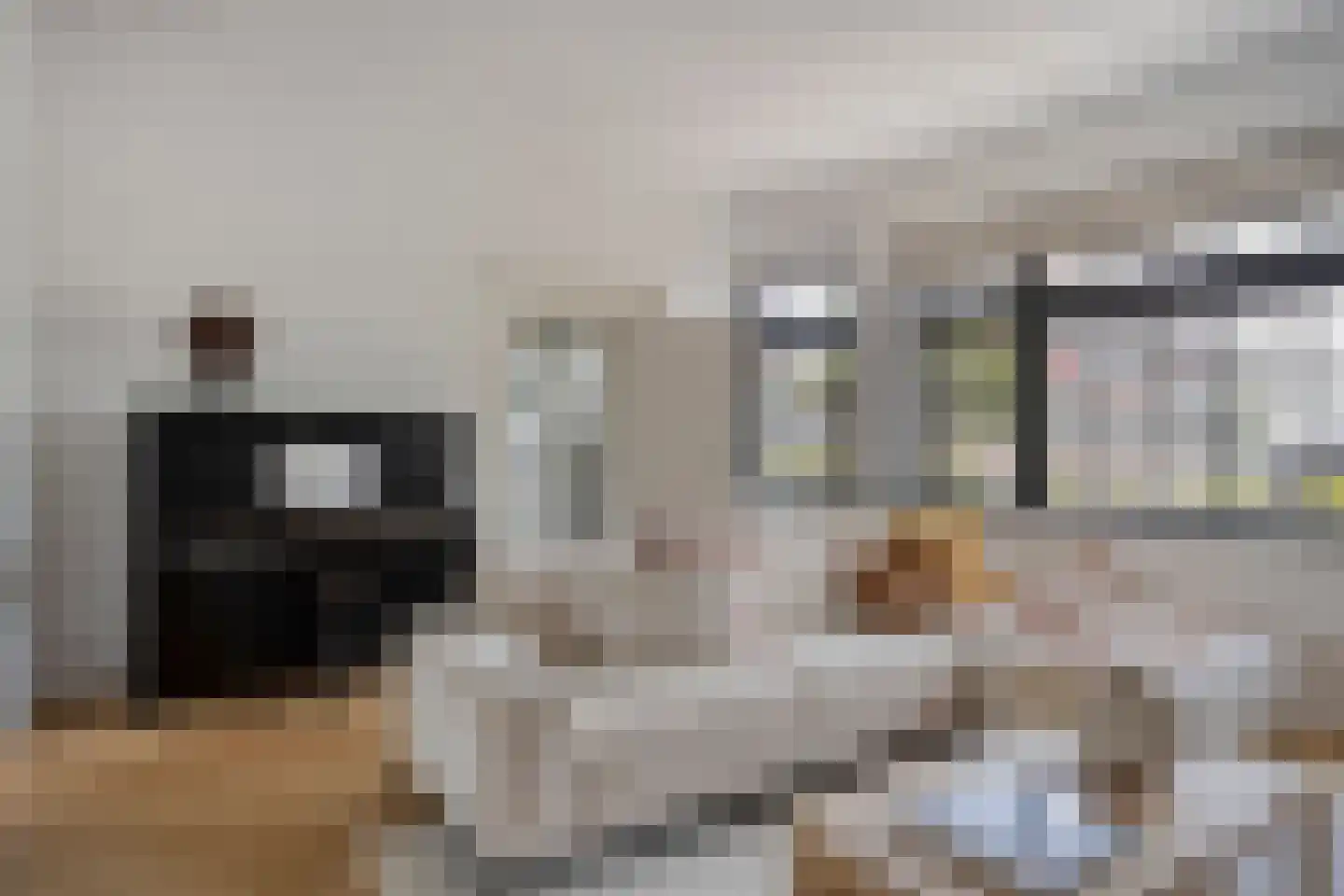 Molenstraat 8 Kinderdijk thumbnail 5