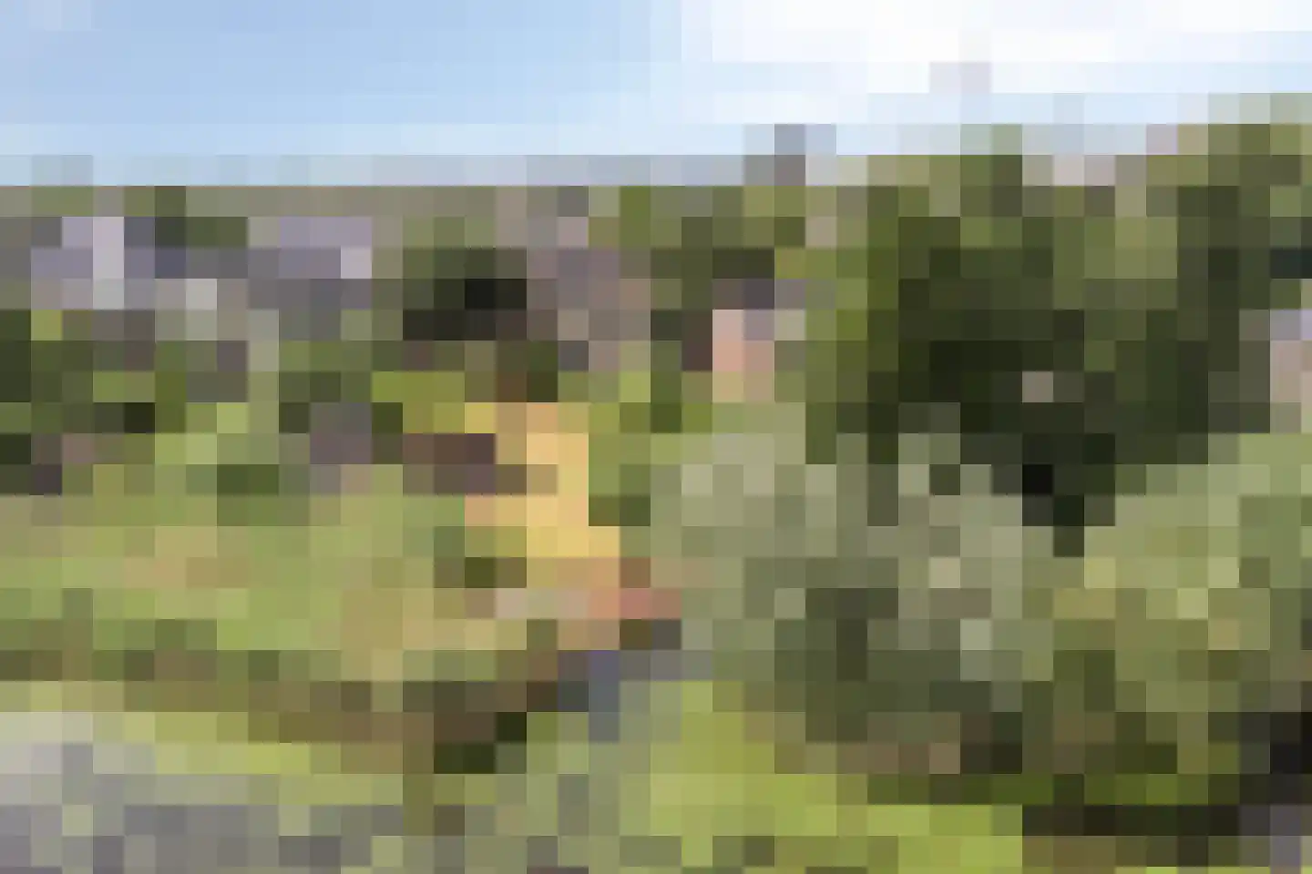 Molenstraat 8 Kinderdijk thumbnail 70