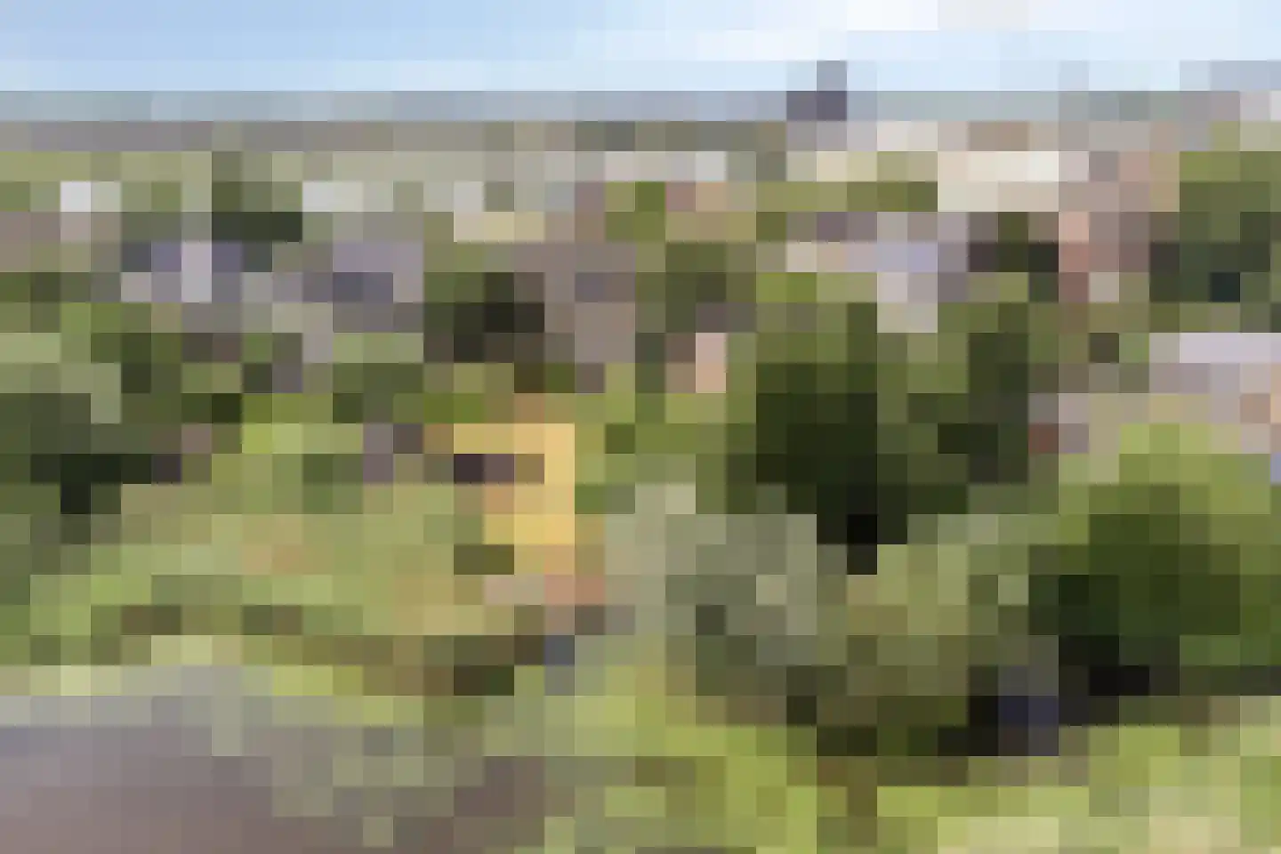 Molenstraat 8 Kinderdijk thumbnail 71