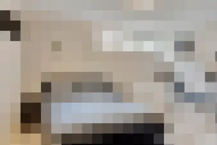 Molenstraat 8 Naaldwijk thumbnail 19