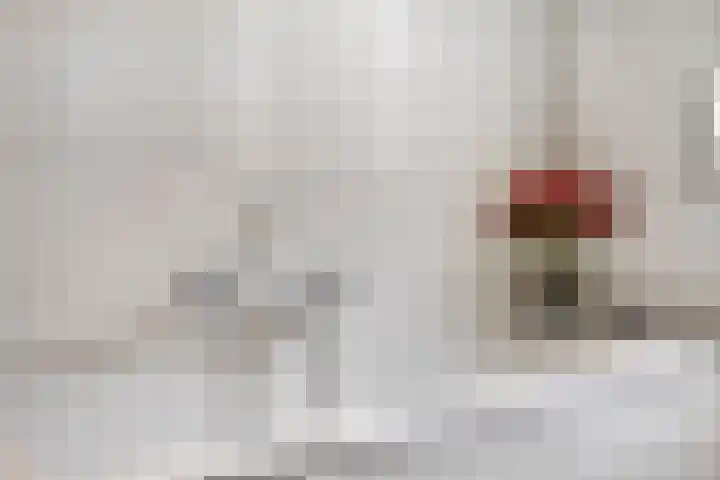 Molenstraat 8 Naaldwijk thumbnail 21