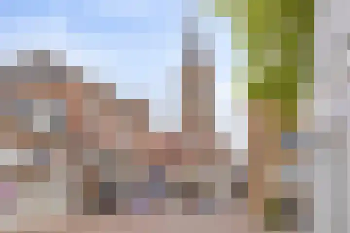 Molenstraat 8 Naaldwijk thumbnail 30
