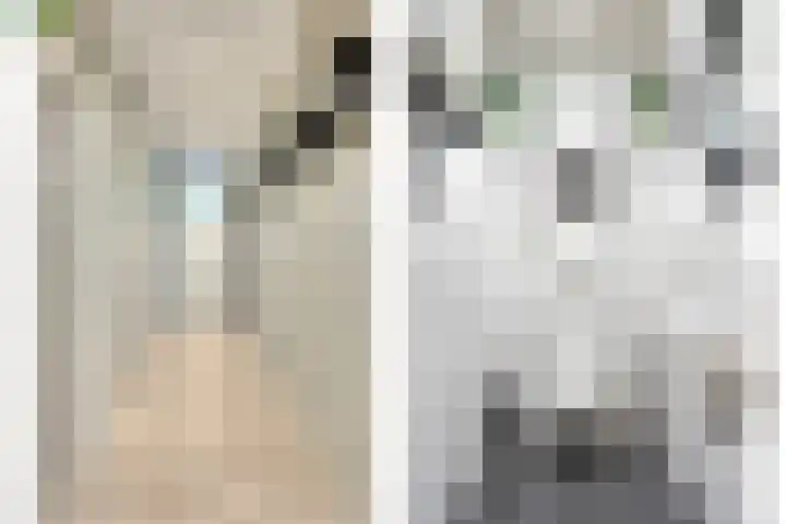 Molenstraat 8 Naaldwijk thumbnail 8