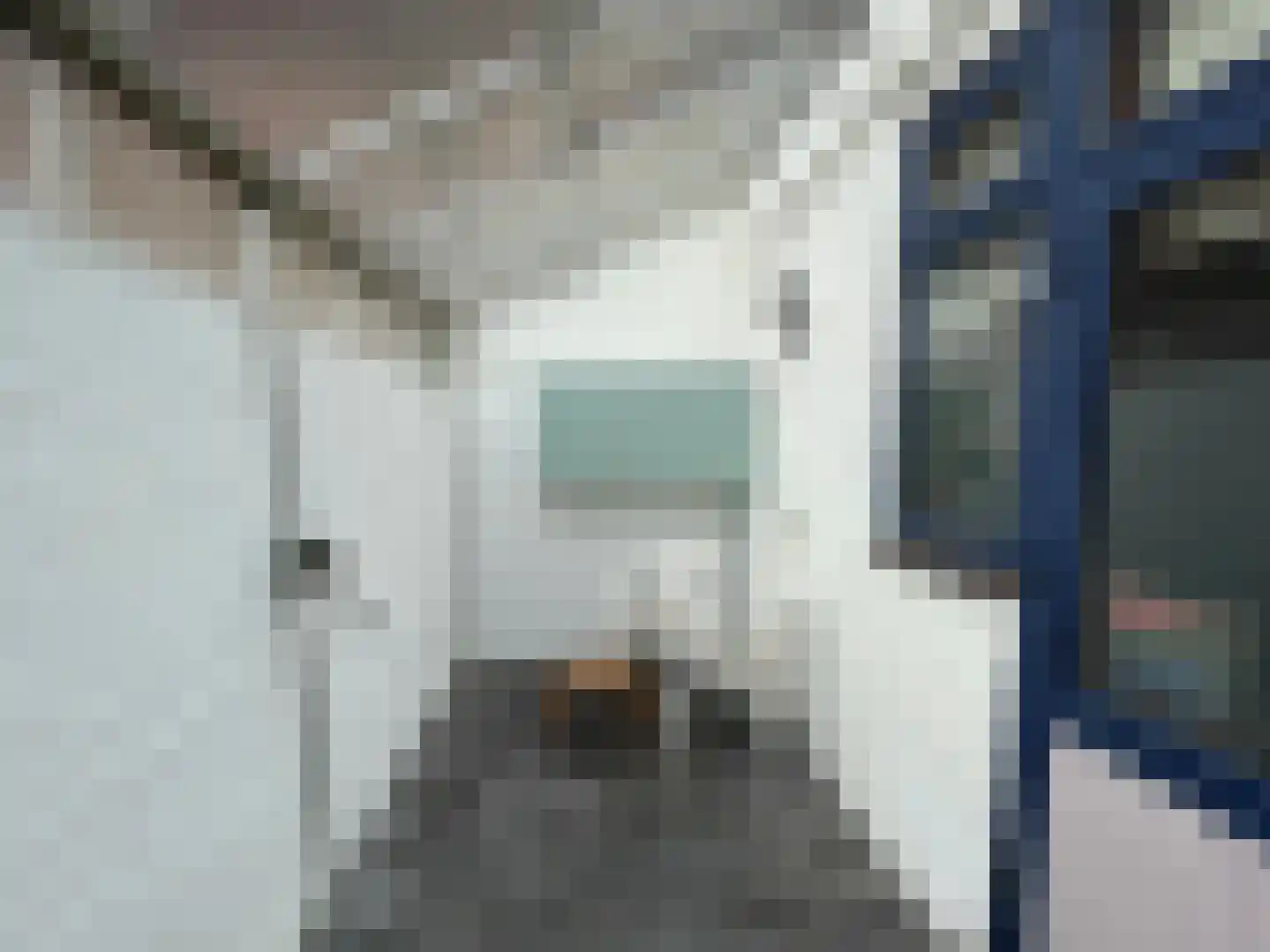 Molenstraat 8 's-Gravenzande thumbnail 12