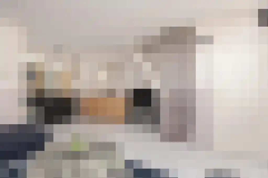 Molenstraat 8 's-Gravenzande thumbnail 7