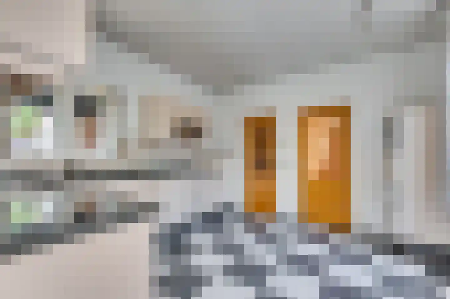 Molenstraat 8 Venlo thumbnail 13