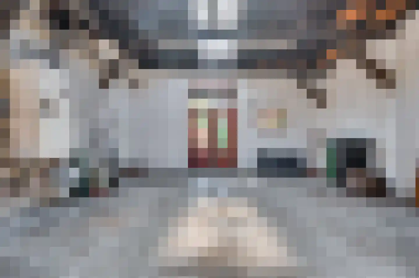 Molenstraat 8 Venlo thumbnail 15