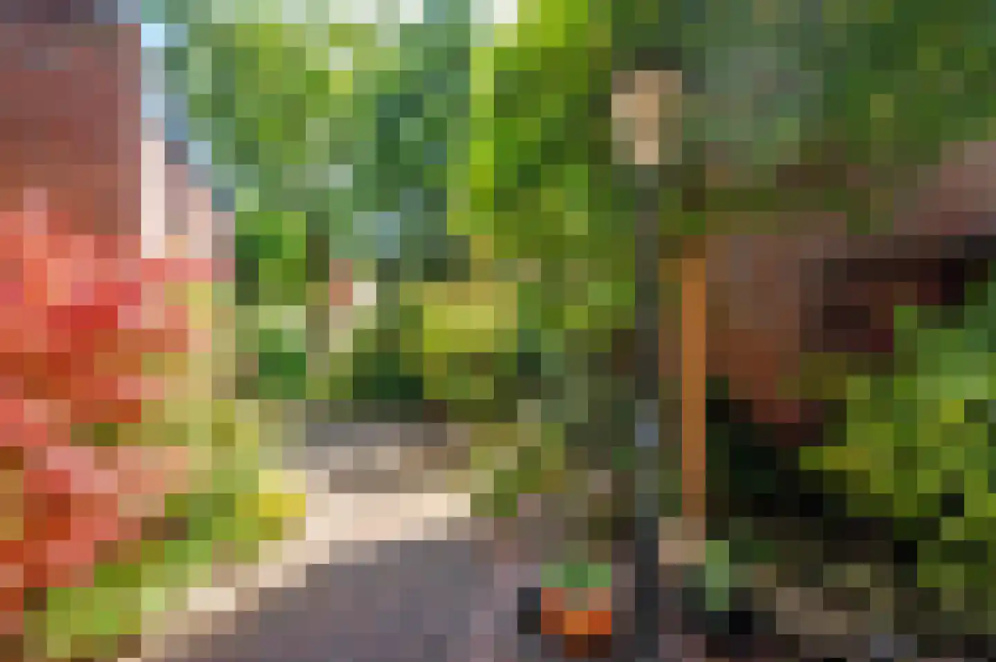Molenstraat 8 Venlo thumbnail 31