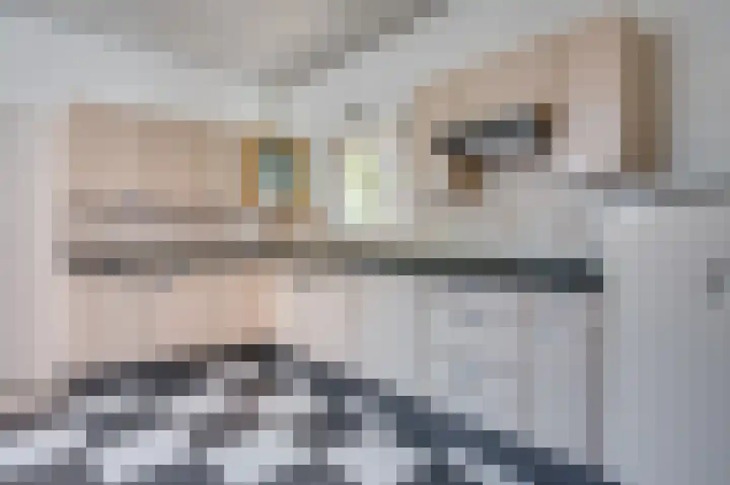 Molenstraat 8 Venlo thumbnail 8