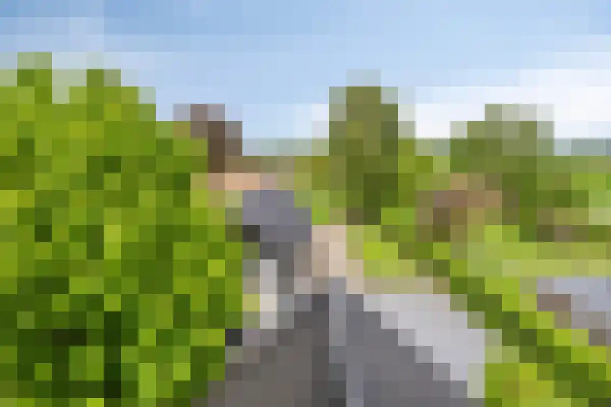 Molenstraat 80 Arriën thumbnail 20