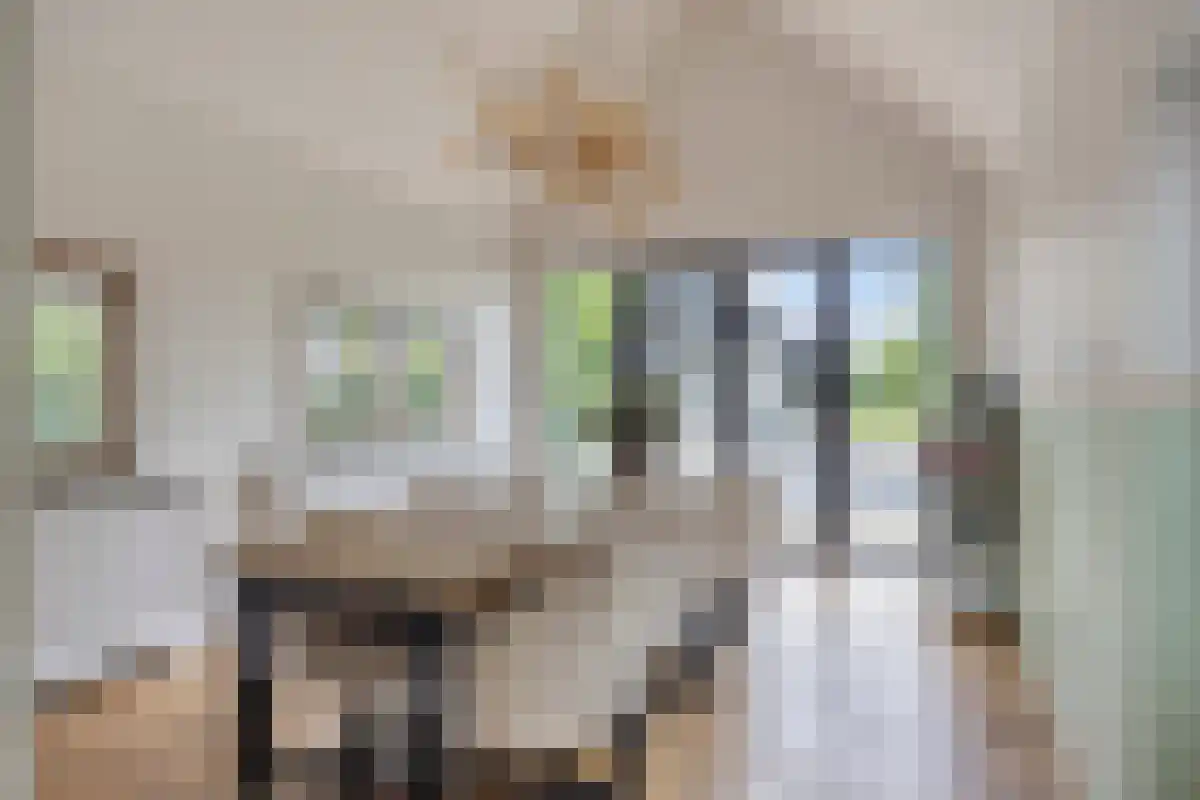 Molenstraat 80 Arriën thumbnail 7
