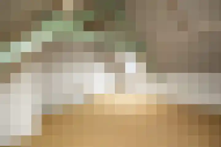 Molenstraat 80 Boxtel thumbnail 32