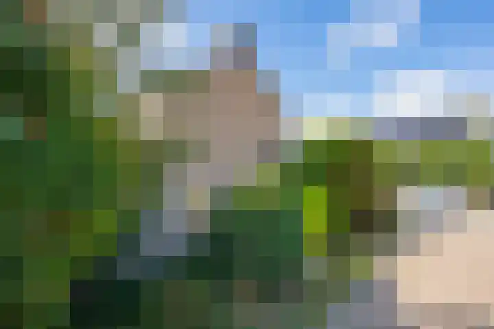 Molenstraat 80 c Boven-Leeuwen thumbnail 62