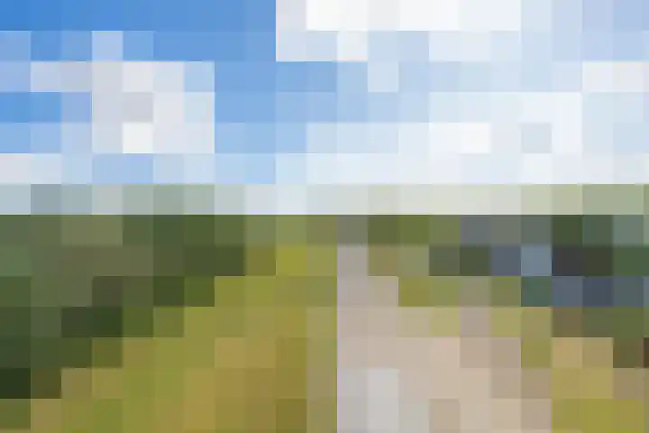 Molenstraat 80 c Boven-Leeuwen thumbnail 64