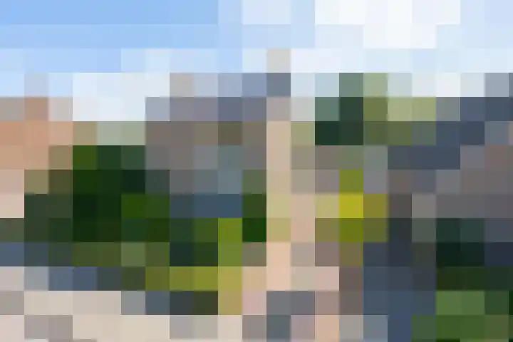 Molenstraat 80 c Boven-Leeuwen thumbnail 73
