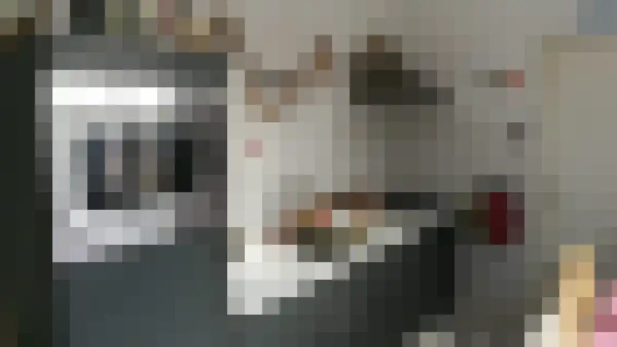 Molenstraat 81 1 Tilburg thumbnail 6