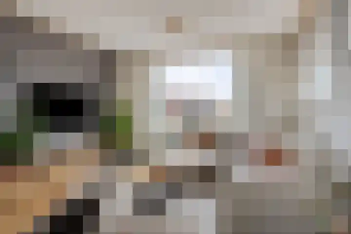 Molenstraat 83 Fijnaart thumbnail 10