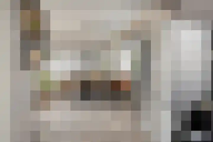 Molenstraat 83 Fijnaart thumbnail 16