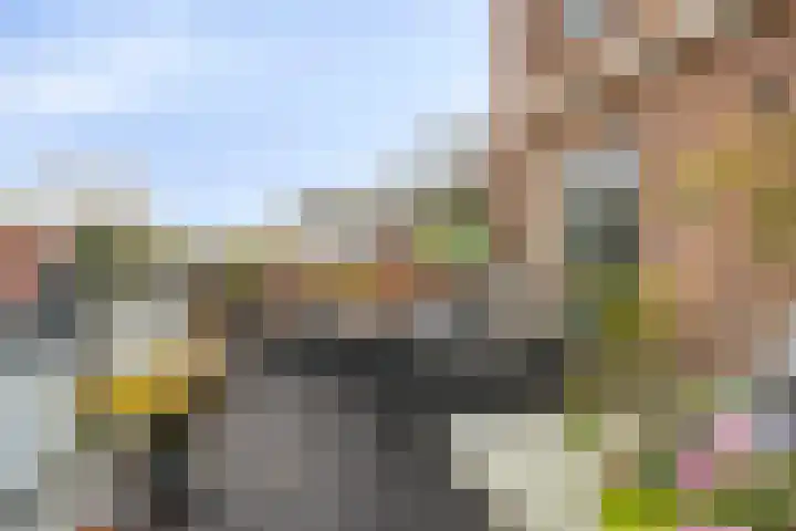 Molenstraat 83 Fijnaart thumbnail 19
