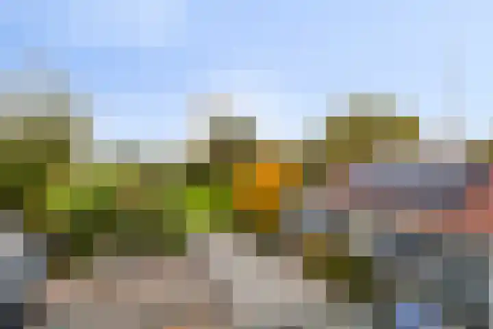 Molenstraat 83 Fijnaart thumbnail 21