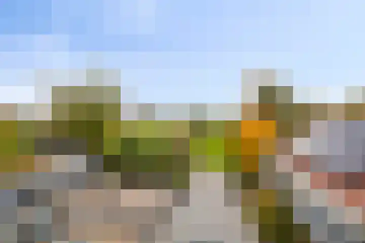Molenstraat 83 Fijnaart thumbnail 23
