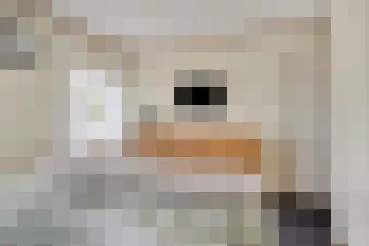 Molenstraat 83 Fijnaart thumbnail 37