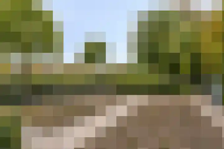 Molenstraat 83 Fijnaart thumbnail 52