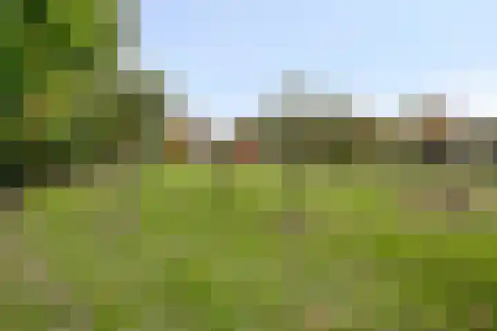 Molenstraat 83 Fijnaart thumbnail 55