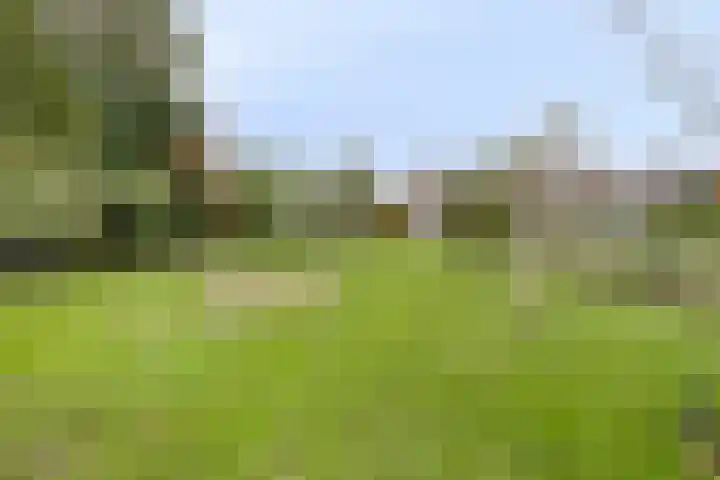 Molenstraat 83 Fijnaart thumbnail 56
