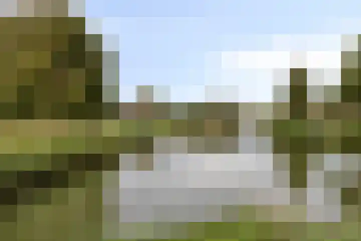 Molenstraat 83 Fijnaart thumbnail 62