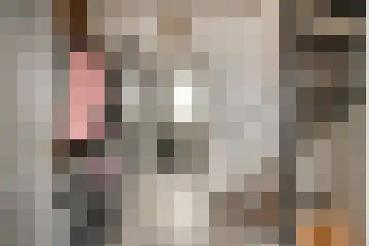 Molenstraat 83 Fijnaart thumbnail 7