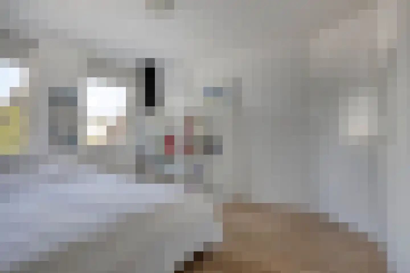 Molenstraat 85 Valkenswaard thumbnail 17