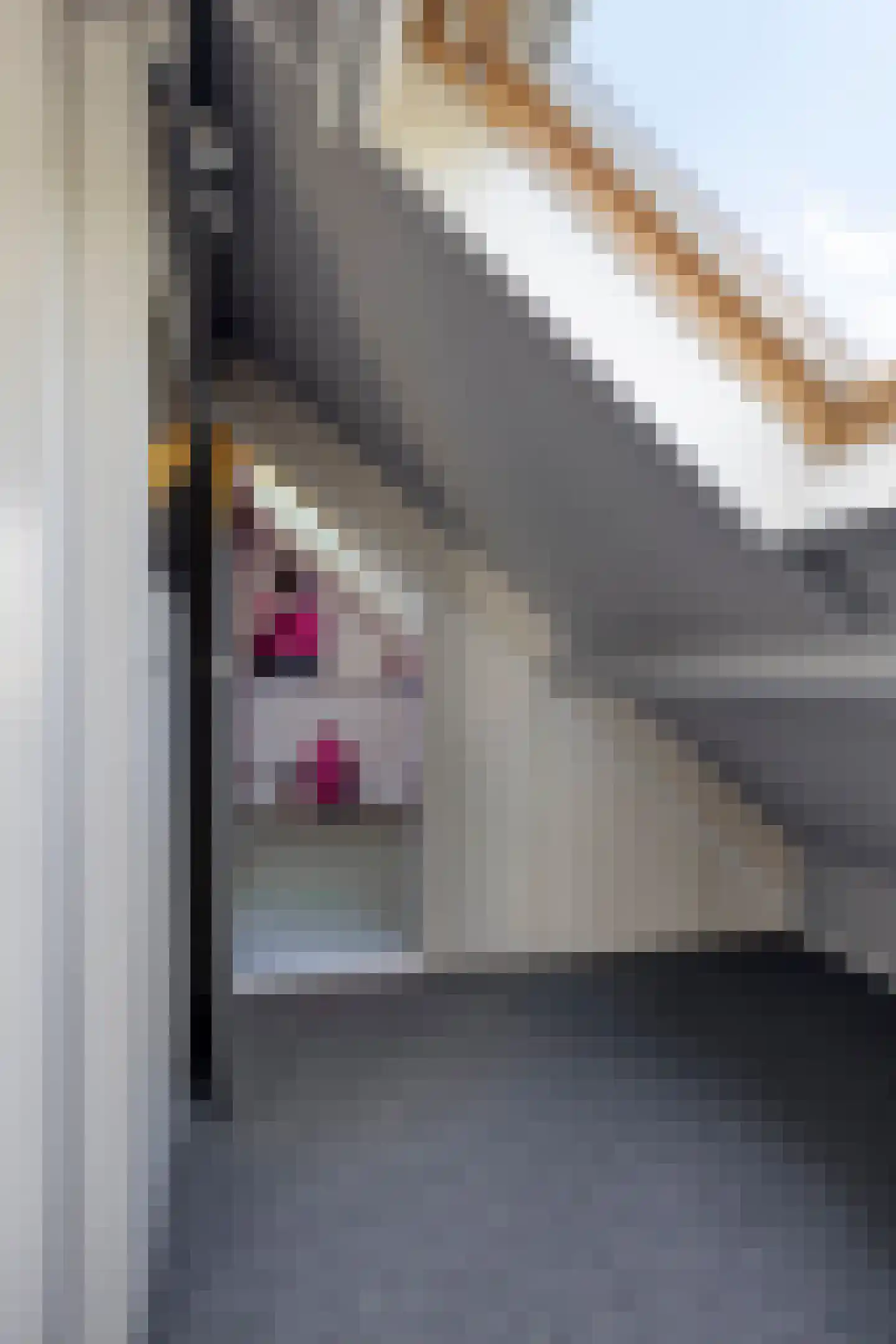 Molenstraat 85 Valkenswaard thumbnail 19